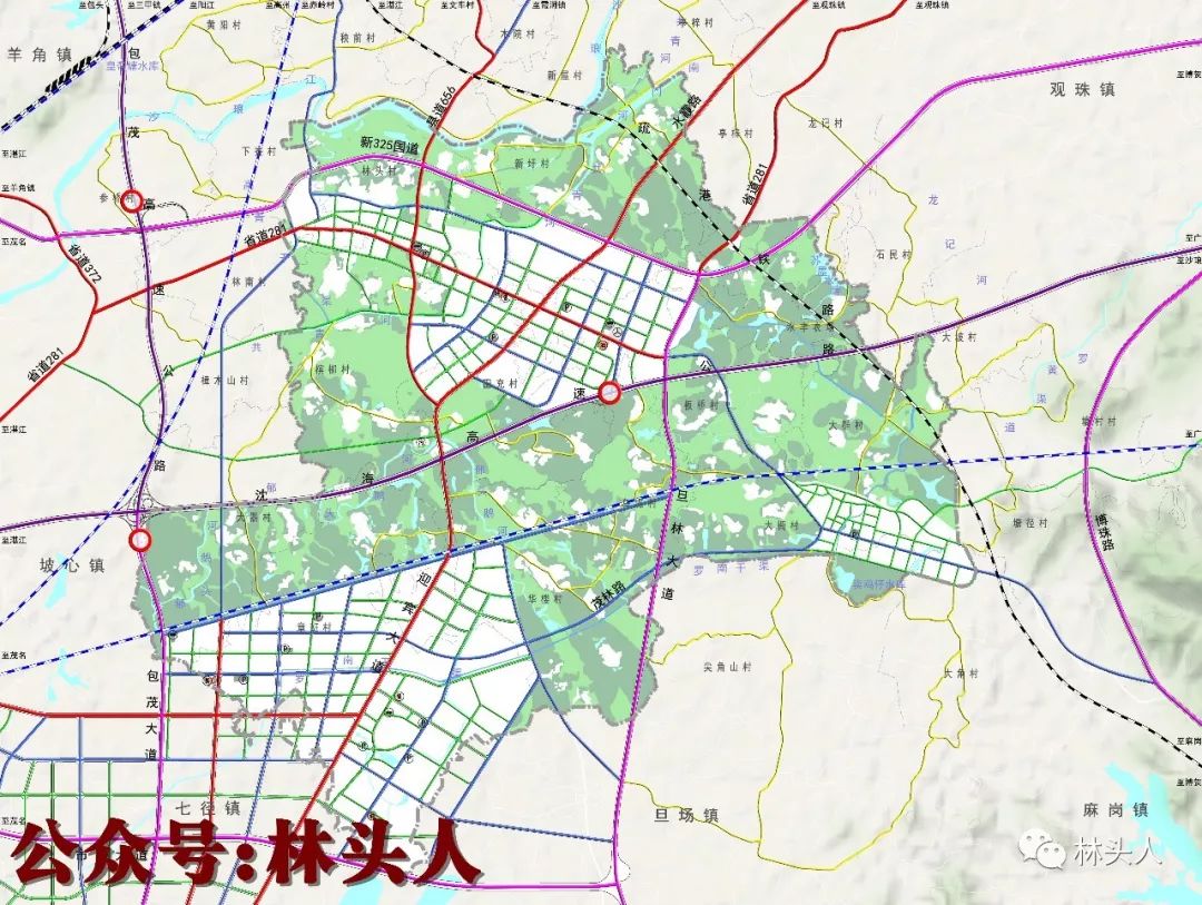 电白区林头最新规划图