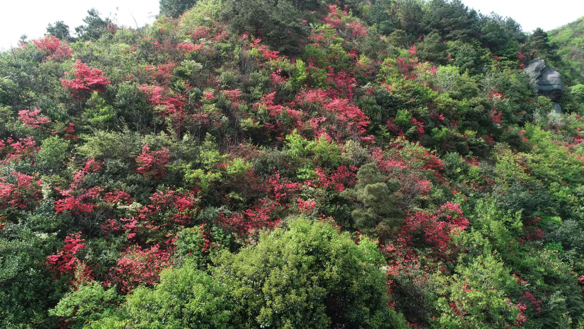 天岳幕阜山最新进展