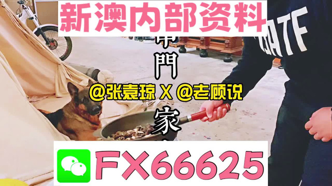 管家婆2023正版资料大全,管家婆2023正版资料大全，探索其重要性及使用价值