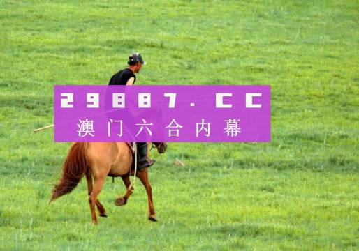 香港免费资料王中王资料,香港免费资料王中王资料深度解析