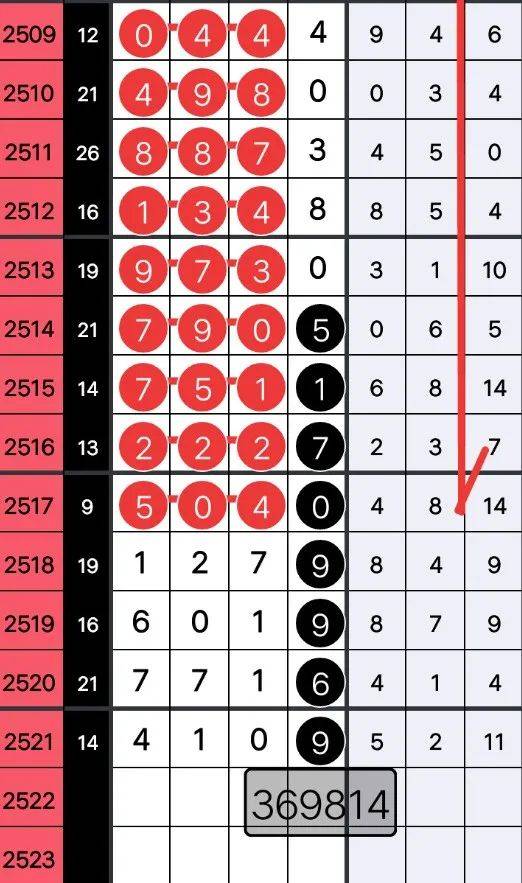 949494王中王内部精选,揭秘王中王内部精选，949494背后的故事