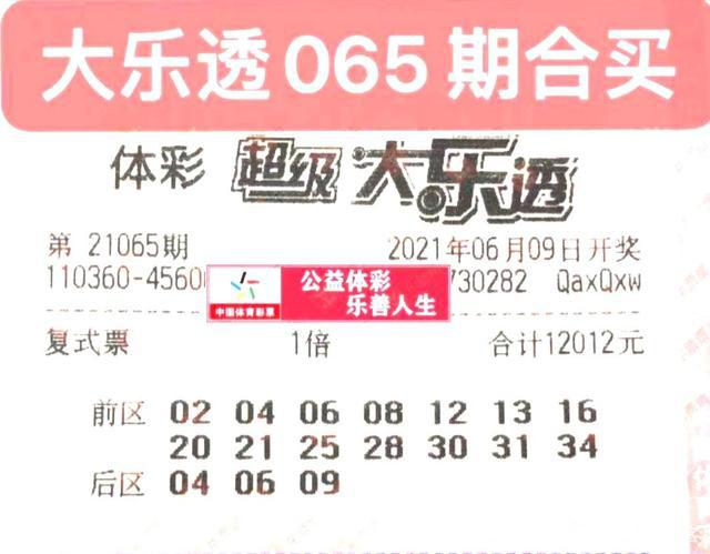 2025年新奥开奖结果,揭秘2025年新奥开奖结果，幸运与期待交织的盛宴