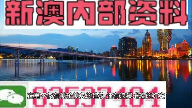 新澳门今天最新免费资料,新澳门今天最新免费资料分享与解读